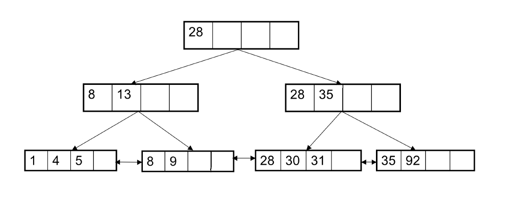 B Plus Tree