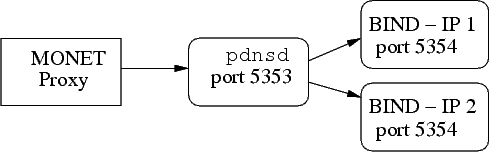 fig/dns2.png