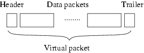 figures/packet-format-real.gif