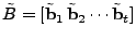 $ \tilde{B} = [\tilde{\mathbf{b}}_1   \tilde{\mathbf{b}}_2 \cdots \tilde{\mathbf{b}}_t]$