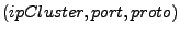 $ (ipCluster, port, proto)$