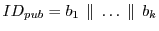 $ID_{pub} = b_1  \parallel  \ldots  \parallel 
b_k$