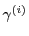 $\gamma^{(i)}$