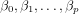 β0,β1,...,βp  