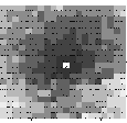 \begin{displaymath}\psfig{figure=screenshot2.ps,width=1in}\end{displaymath}