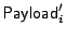 $ \mathsf{Payload}'_i$