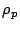 $\rho_p$